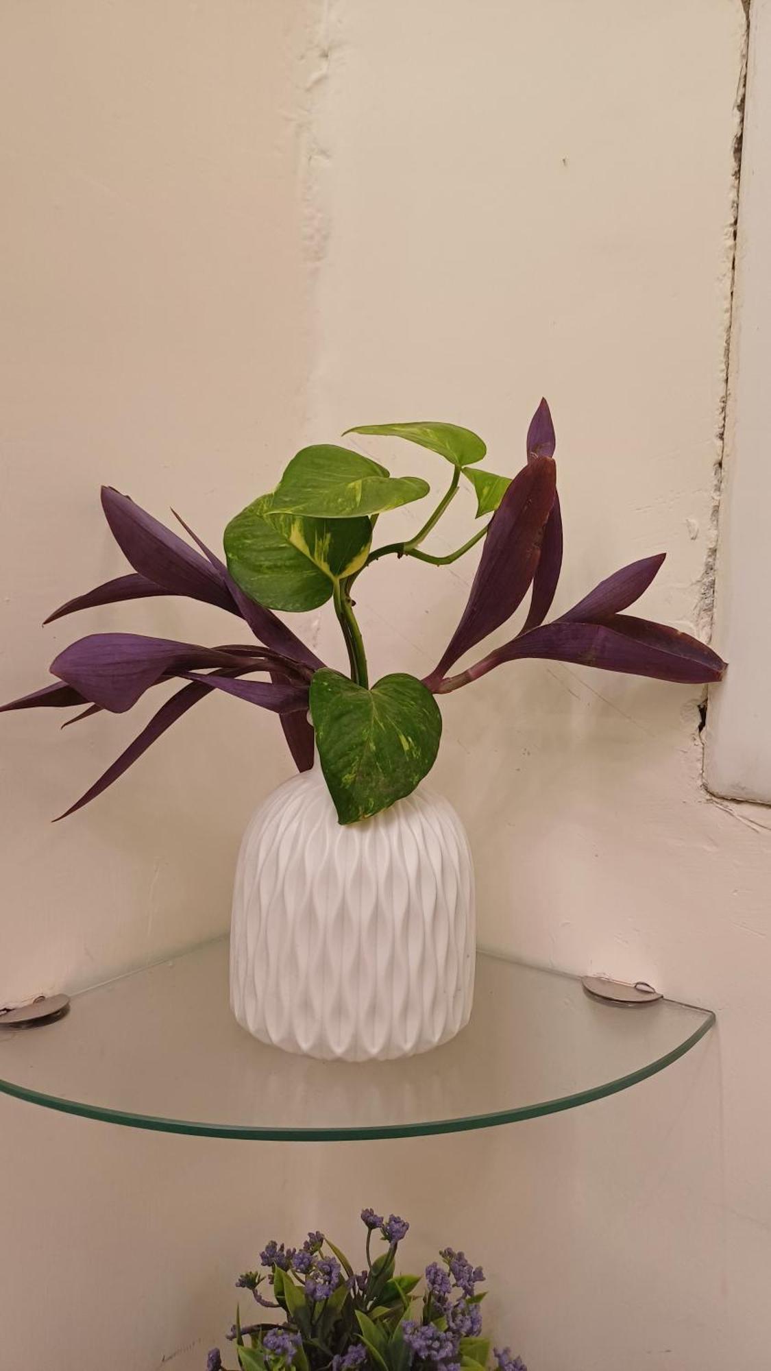 Apartament Shivalayaa - The Divine Abode Agra  Zewnętrze zdjęcie